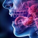 How Prescription Drugs Work in Your Body